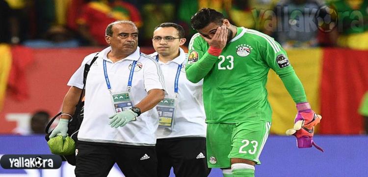 احمد الشناوي احمد الشناوي